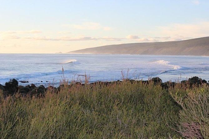 Margaret River Indulge and Discover Day Tour - Tour Overview and Inclusions