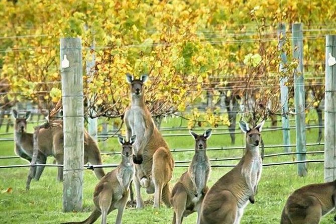 Margaret River Indulge and Discover Day Tour - Directions