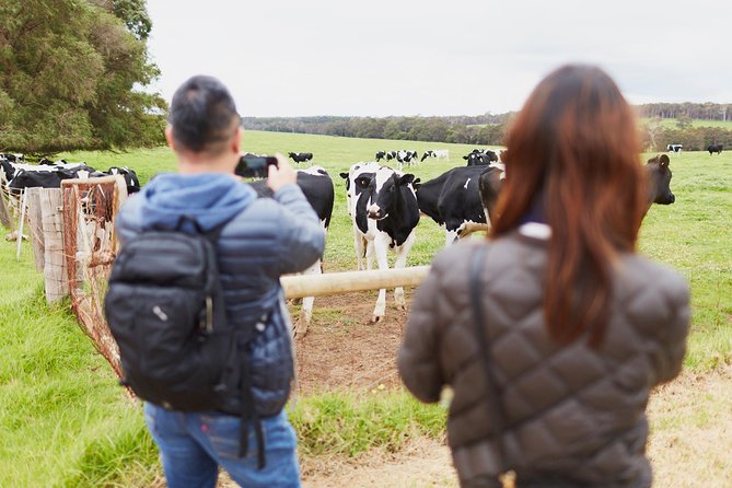 Margaret River Indulge and Discover Day Tour - Common Questions
