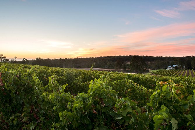 Margaret River Indulge and Discover Day Tour - The Sum Up