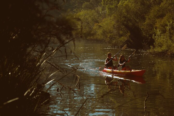 Margaret River Kayaking and Winery Tour - Traveler Photos and Reviews