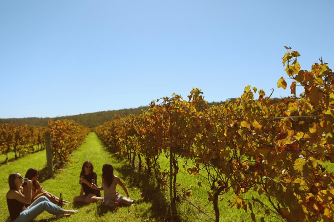 Margaret River Kayaking and Winery Tour - Common Questions