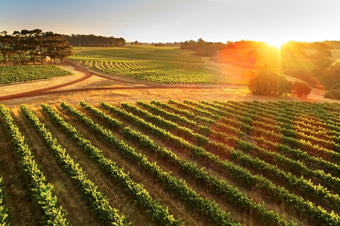 Margaret River Leeuwin Estate Tour With Food and Wine Pairing - Common Questions