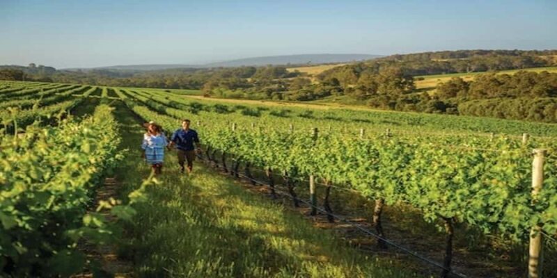 Margaret River Private Day Tour from Perth - Good To Know  