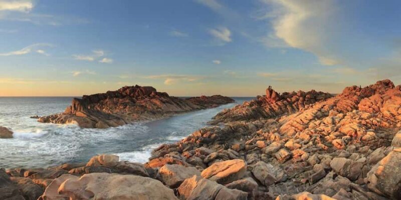Margaret River Private Day Tour from Perth - Who Is This Tour Best For?