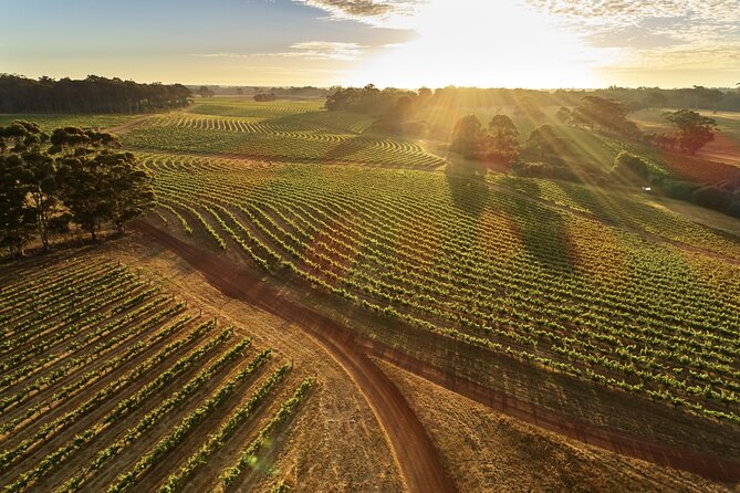 Margaret River Scenic Flight to Leeuwin Estate Winery From Perth - Common Questions