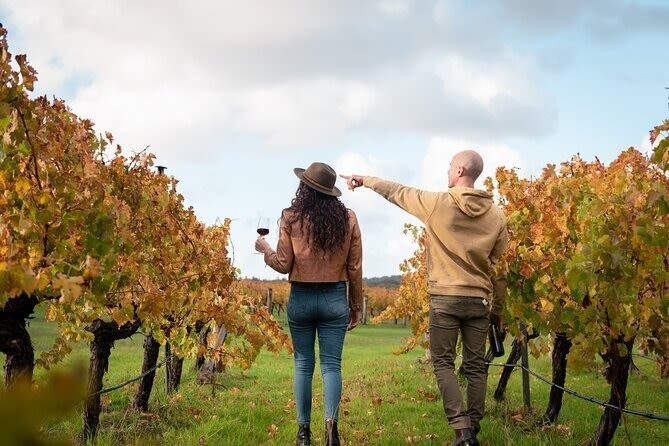 Margaret River Secret Delights: Curated Wine, Coffee, Lunch & Forest - Two wineries, with the workings behind the wine