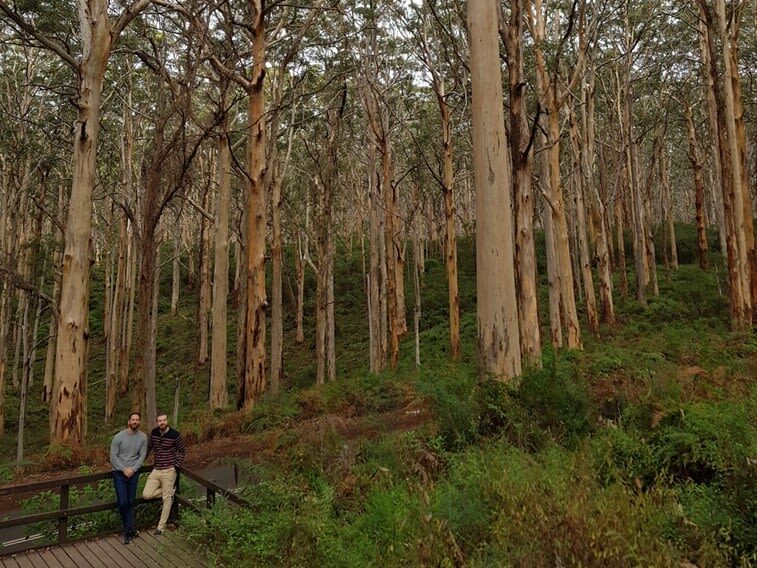 Margaret River Secret Delights: Curated Wine, Coffee, Lunch & Forest - Seasonal lunch and tastings at Berry Farm