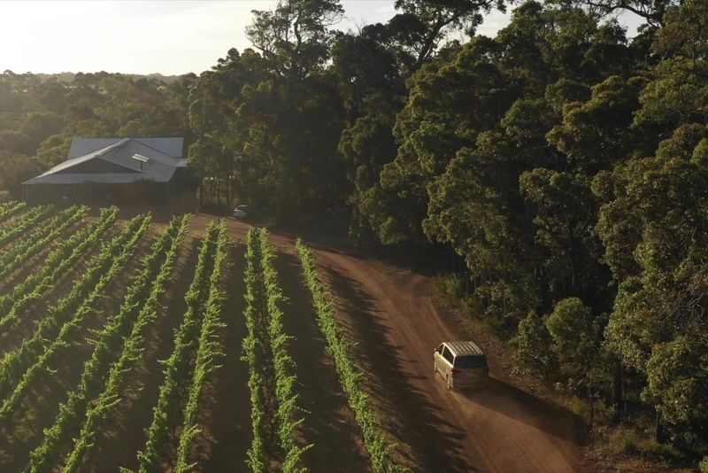 Margaret River Secret Delights: Curated Wine, Coffee, Lunch & Forest - What the price covers, and where the value lies
