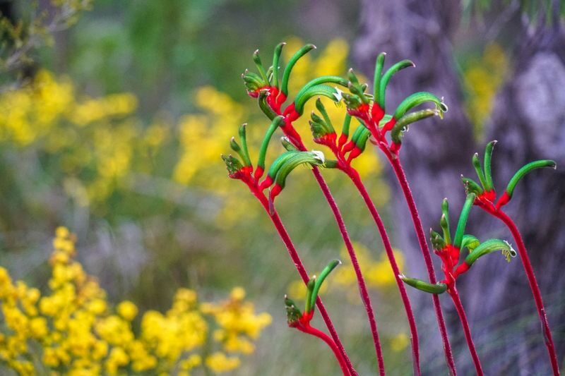 Margaret River Wine & Scenic Discovery Tour - What the six-hour schedule means for you