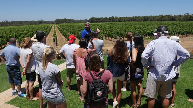 Margaret River Wine Tour: The Full Bottle - Itinerary and Venues