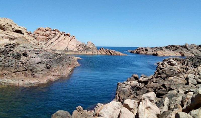 Margaret River with Wine, Beer, Busselton Jetty Visit Guided Tour - Is the price good value?