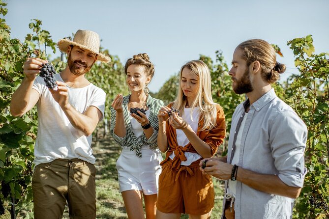 Margaret River's Wine & Chocolate Odyssey: Private Tour - Exclusive Wineries