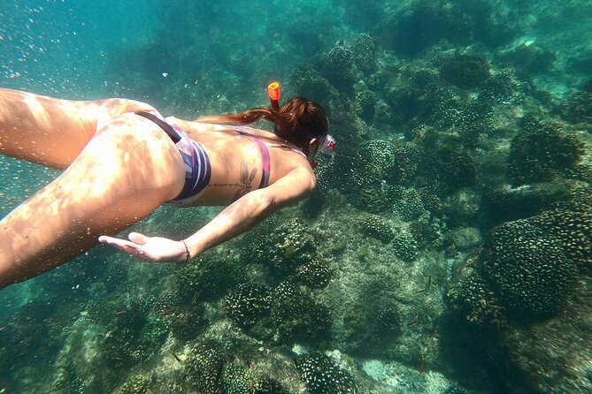 Margarita Snorkel and Whale Platinum Tour - Tour Details