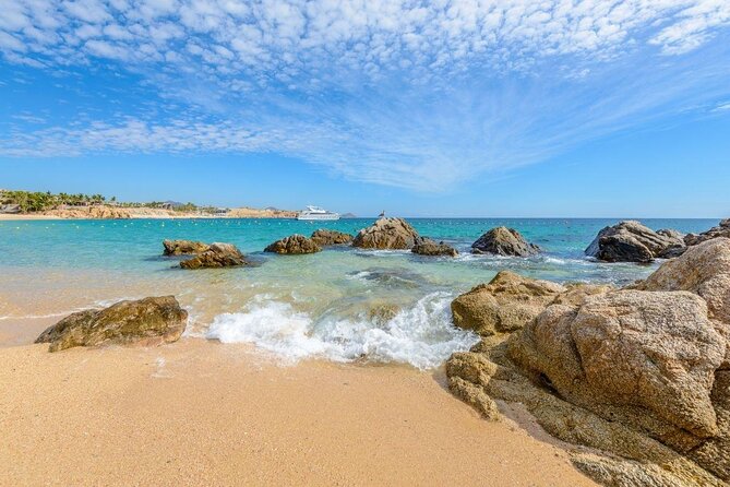 Margarita Snorkel and Whale Platinum Tour - Traveler Photos
