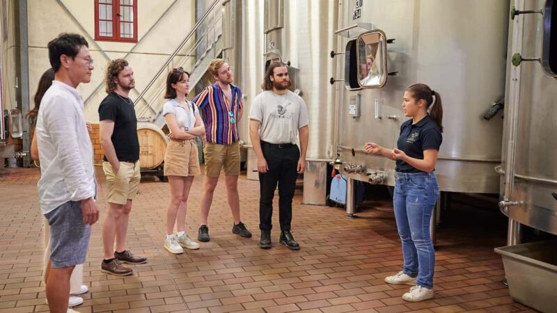 Margaux - Guided tour of the château and tasting of 4 wines - Authentic Insights from Reviewers