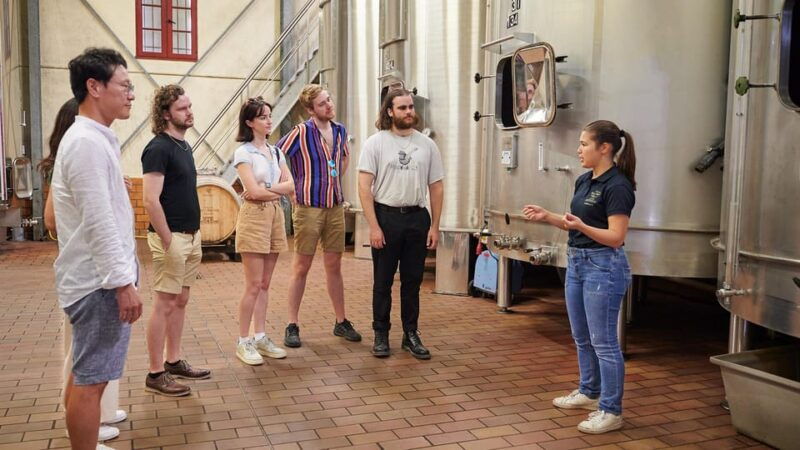 Margaux - Guided Tour of the Château and Tasting of 4 Wines - Good To Know