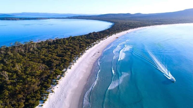 Maria Island 3 hours and 30 mins Scenic Cruise - Discover Tasmania’s Wild Side with the Maria Island 3.5-Hour Scenic Cruise