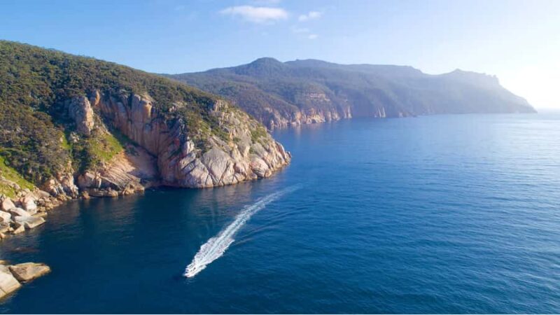 Maria Island 3 hours and 30 mins Scenic Cruise - Why Authenticity Matters: What You’ll Really Experience