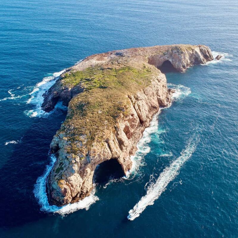 Maria Island 3 hours and 30 mins Scenic Cruise - Practical Details and What You Need to Know