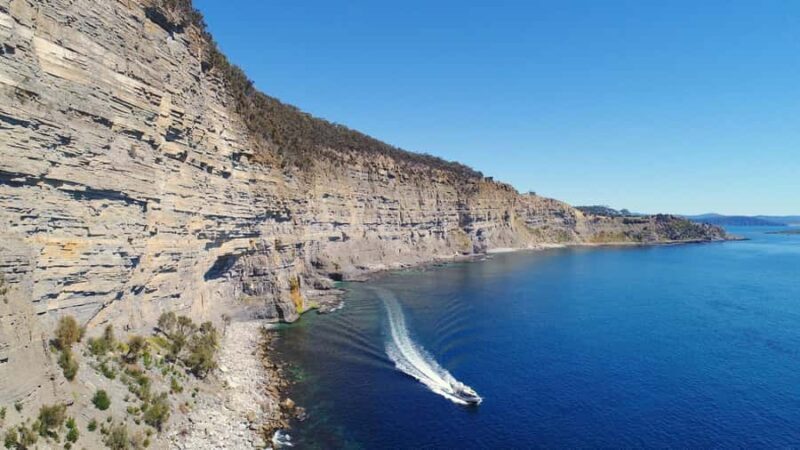 Maria Island 3 hours and 30 mins Scenic Cruise - The Sum Up: Who Will Love This Tour?