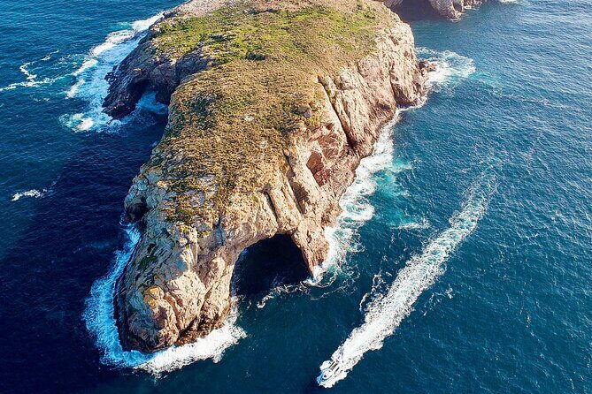 Maria Island 3 hours and 30 mins Scenic Cruise - Discover Tasmania’s Hidden Coastal Treasures with the Maria Island 3.5-Hour Scenic Cruise