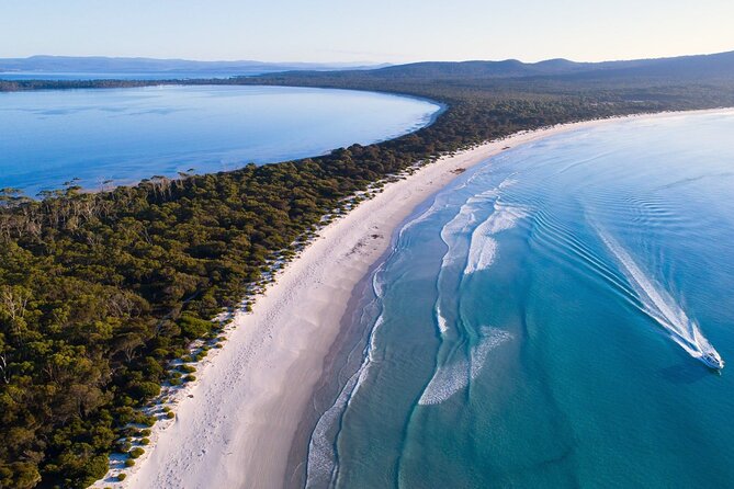 Maria Island Ferry Connection (Hobart to Triabunna Round Trip) - Booking Process