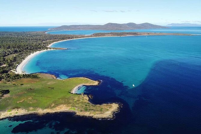 Maria Island Ferry Connection (Hobart to Triabunna Round Trip) - Service Experience