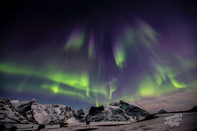 Marianne's Heaven On Earth Aurora Chaser Tours - Common Questions