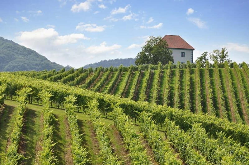 Maribor & Styria Tour with Wine Tasting - FAQs