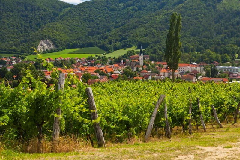 Maribor & Styria Tour with Wine Tasting - Authentic Experiences You Will Remember