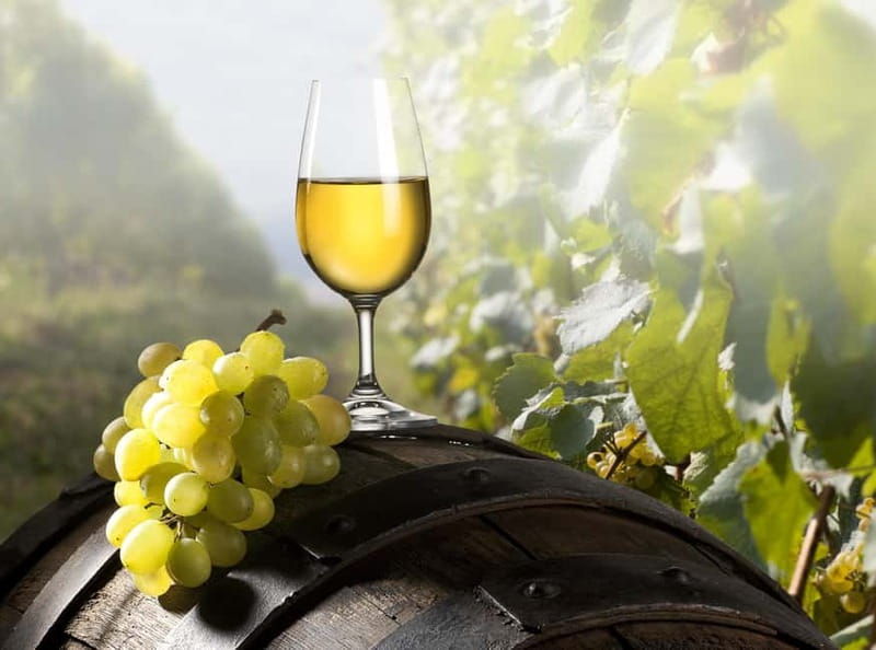 Maribor & Styria Tour with Wine Tasting - Final Words