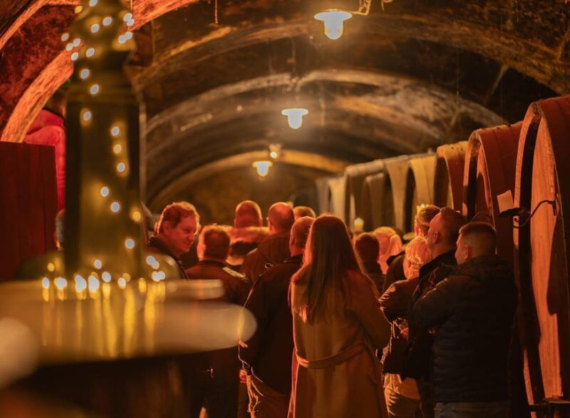 Maribor: Vinag Wine Cellar Tour with Wine tasting and snacks - A Closer Look at the Vinag Wine Cellar Experience