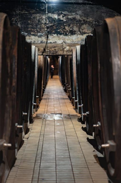 Maribor: Vinag Wine Cellar Tour with Wine tasting and snacks - Practical Details and Value
