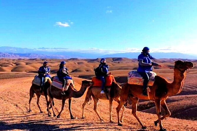 Marical Dinner and Camel Ride at Sunset in Desert of Marrakech - Reviews