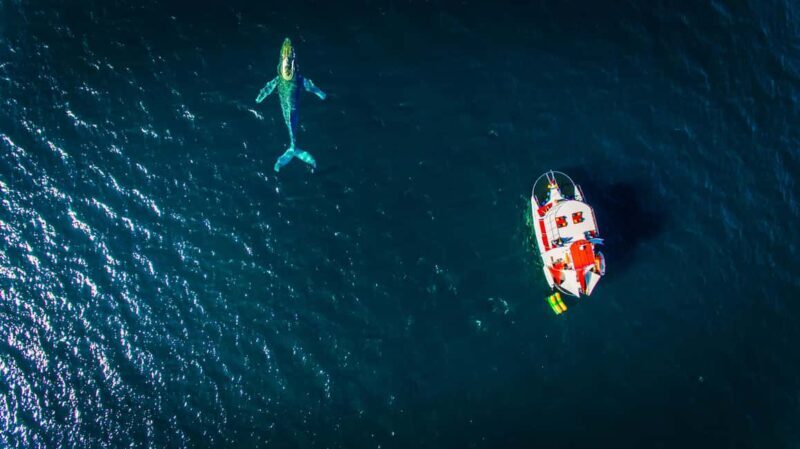 Marietas Islands Boat Tour: Snorkel, Kayak, Playa Nopalera - Good To Know