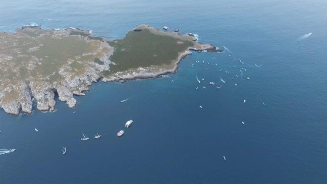 Marietas Islands: Eco-Discovery Tour & Majahuitas Beach - Important Information and Requirements