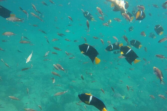 Marietas Islands PRIVATE for 2 px hidden beach 100% GUARANTEED - FAQ