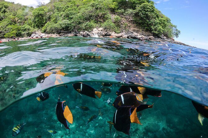 Marietas Islands Sailing Private Tour - 8 Hours of Paradise - The Sum Up: Who Is This Tour Best For?