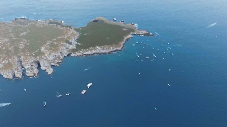 Marietas Islands Tour With Beach Nopalera - Open Bar - Good To Know