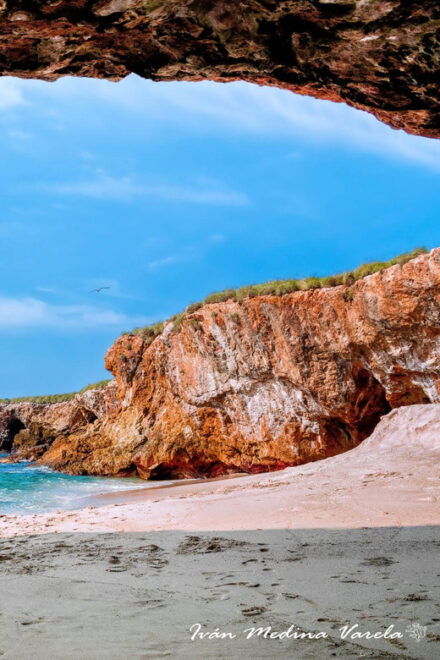 Marietas Islands Tour With Beach Nopalera - Open Bar - Important Information