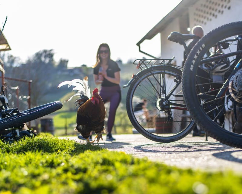 Marija Bistrica: E-bikes to the Wineries of Zlatar City - Final Thoughts