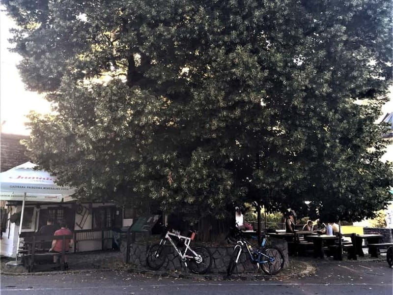 Marija Bistrica: To Gornja Stubica by Bicycle - FAQs