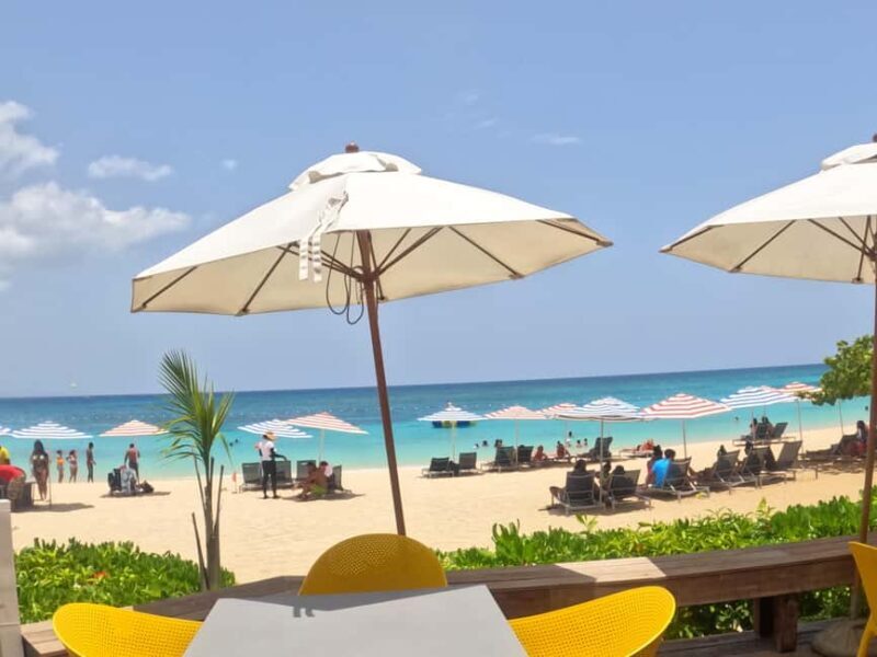 Marijuana Farm, Bamboo Rafting and Doctors Cave Beach Tour - A Closer Look at the Tour: What to Expect