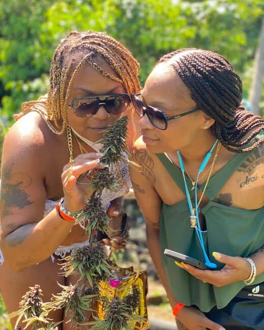 Marijuana Farm & Bamboo Rafting with Limestone Foot Massage - Who Will Love This Tour?