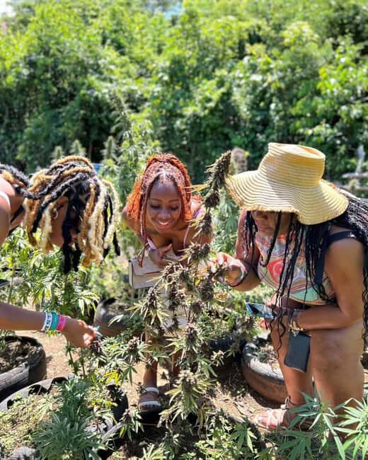 Marijuana Farm & Bamboo Rafting with Limestone Foot Massage - FAQs