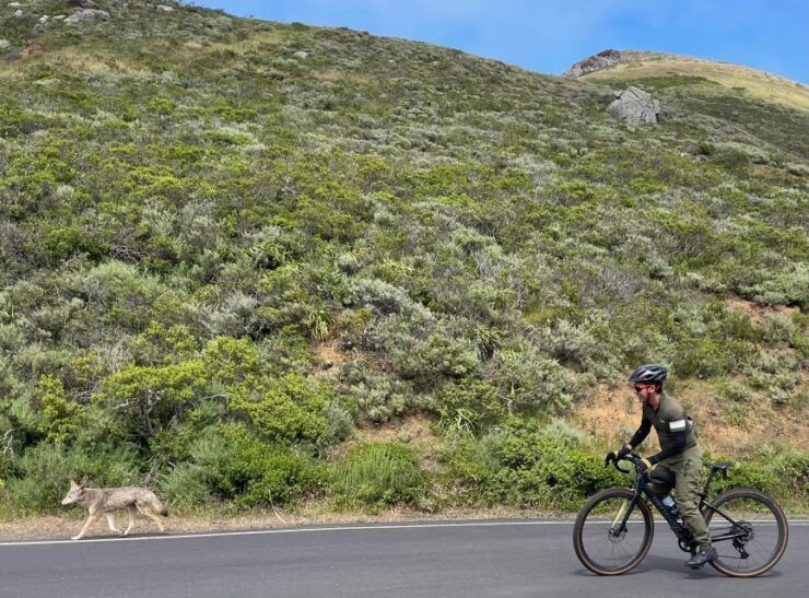 Marin Headlands Gravel Biking Tour Starting in San Francisco - Good To Know