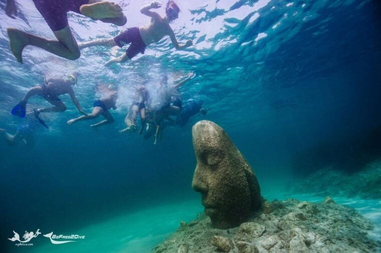 Marina Baie Des Anges Boat Trip to the Pelagos Sanctuary - Getting to BeFreeToDive