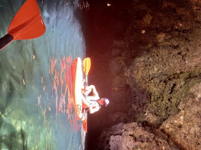Marina de Lagos: Ponta da Piedade Kayaking Tour - What to Expect: A Scenic Paddle Along the Coasts of Lagos