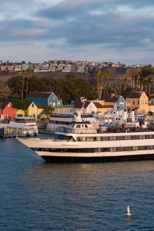 Marina Del Rey: NYE Gourmet Brunch Cruise - Event Details